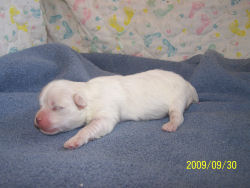click here to see me grow!