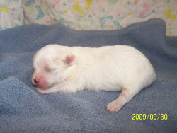click here to see me grow!