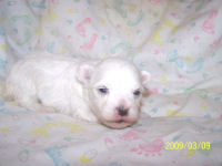 click here to see me grow!
